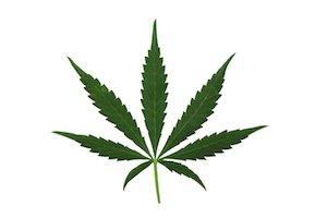 marijuana, drug possession, drug charges, criminal charges, Stamford drug charges, criminal defense lawyer